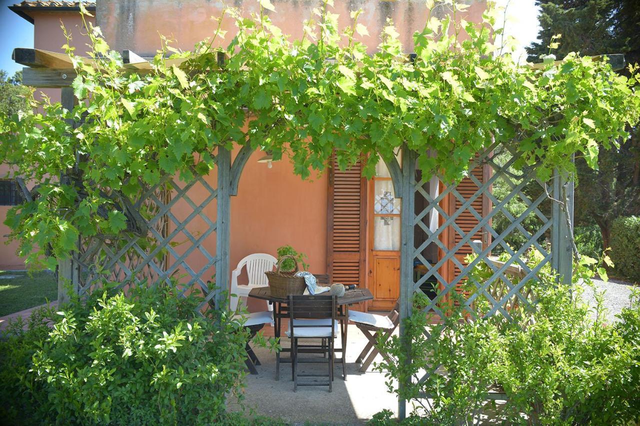 Agriturismo Le Cerbonche Rosignano Marittimo Exteriér fotografie